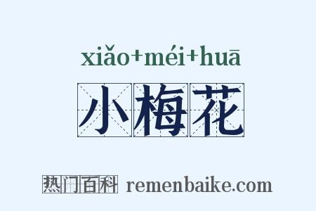 小梅花是什么意思的图片